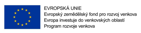 Rekonstrukce a statické zajištění kaple U Dobré vody